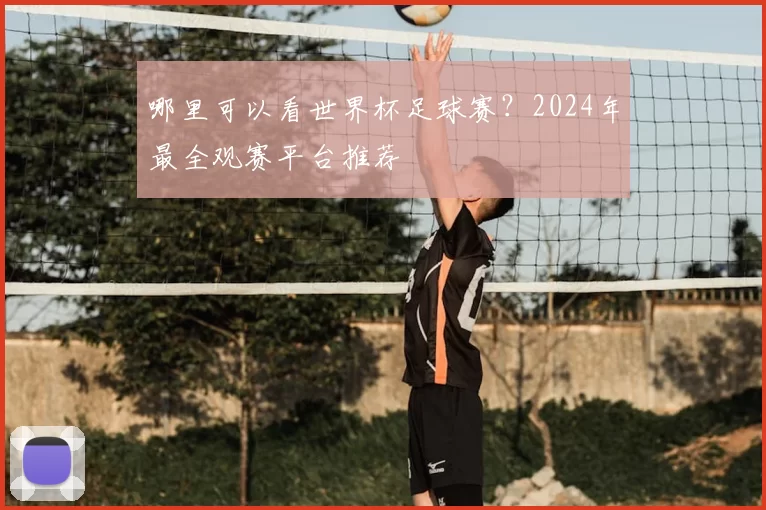 哪里可以看世界杯足球赛？2024年最全观赛平台推荐