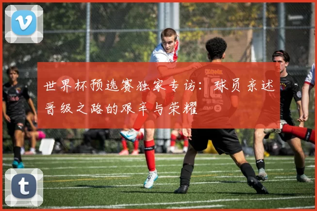 世界杯预选赛独家专访：球员亲述晋级之路的艰辛与荣耀