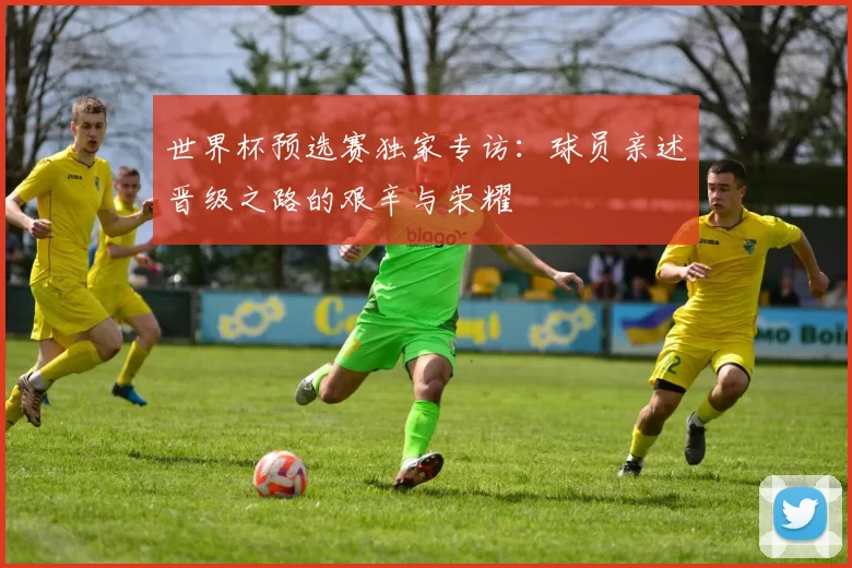 世界杯预选赛独家专访:球员亲述晋级之路的艰辛与荣耀