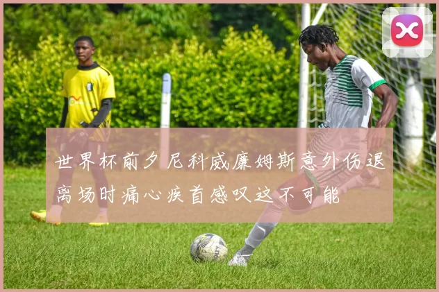 世界杯前夕尼科威廉姆斯意外伤退离场时痛心疾首感叹这不可能