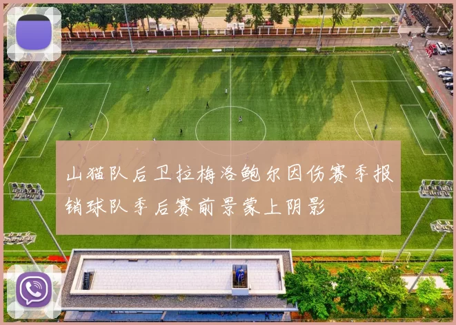 山猫队后卫拉梅洛鲍尔因伤赛季报销球队季后赛前景蒙上阴影
