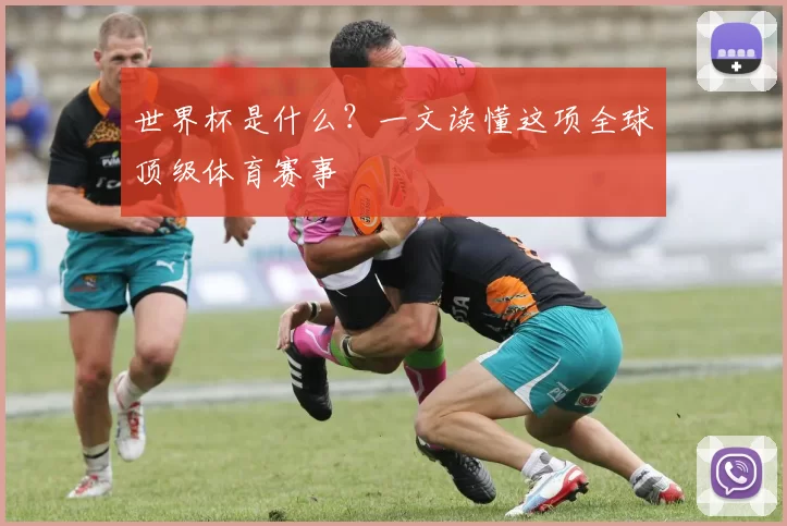 世界杯是什么？一文读懂这项全球顶级体育赛事