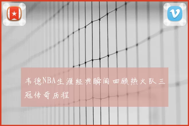 韦德NBA生涯经典瞬间回顾热火队三冠传奇历程