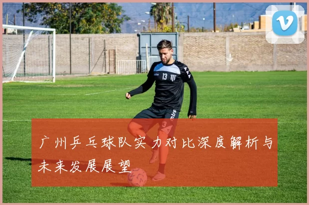 广州乒乓球队实力对比深度解析与未来发展展望
