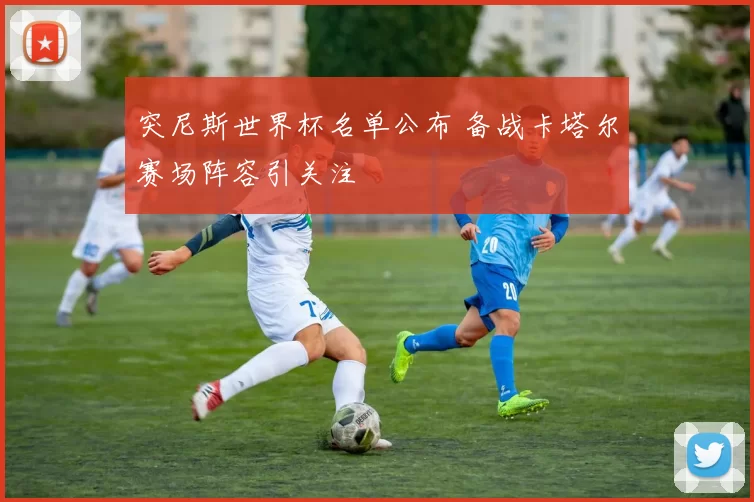 突尼斯世界杯名单公布 备战卡塔尔赛场阵容引关注