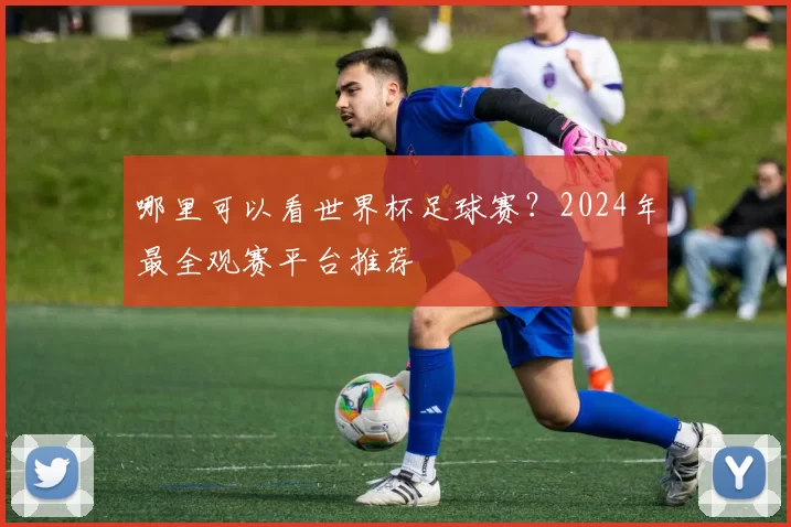 哪里可以看世界杯足球赛?2024年最全观赛平台推荐