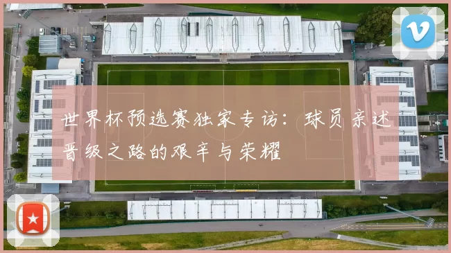 世界杯预选赛独家专访：球员亲述晋级之路的艰辛与荣耀