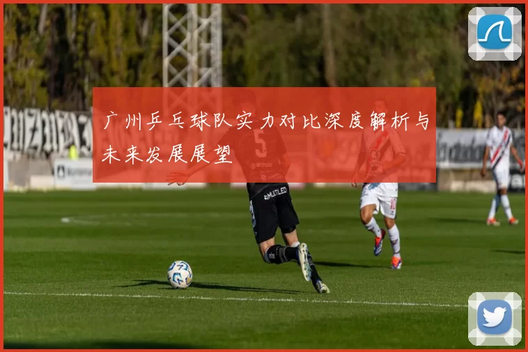 广州乒乓球队实力对比深度解析与未来发展展望
