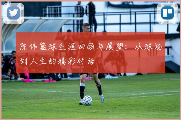 陈伟篮球生涯回顾与展望：从球场到人生的精彩对话
