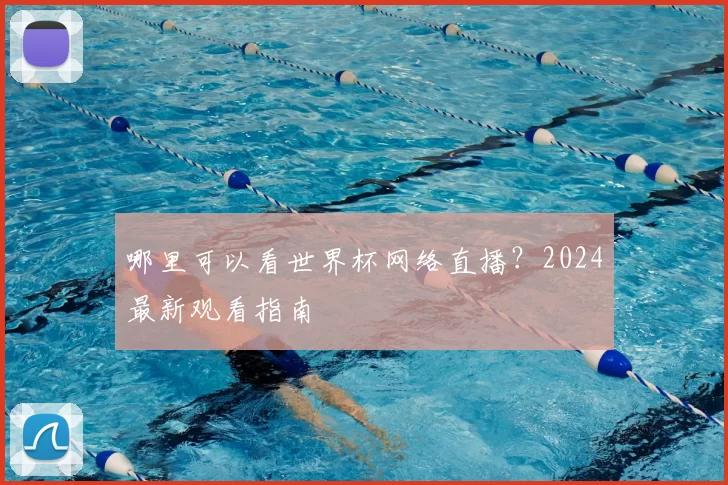哪里可以看世界杯网络直播？2024最新观看指南