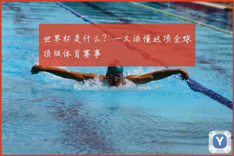 世界杯是什么？一文读懂这项全球顶级体育赛事
