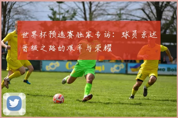 世界杯预选赛独家专访:球员亲述晋级之路的艰辛与荣耀