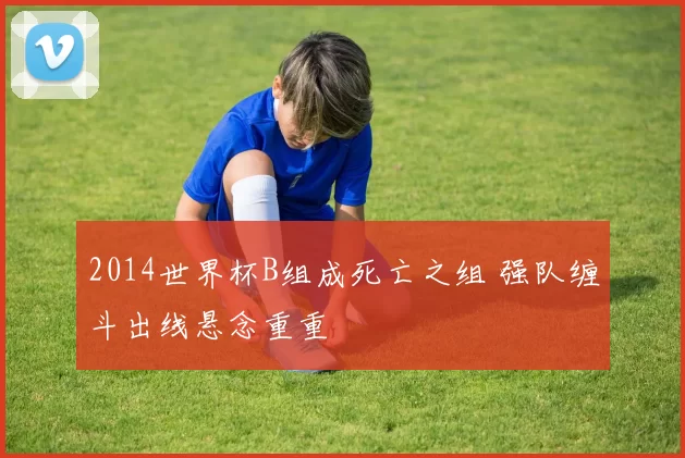 2014世界杯B组成死亡之组 强队缠斗出线悬念重重