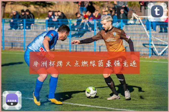 非洲杯烽火点燃绿茵豪强竞逐