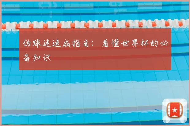 伪球迷速成指南:看懂世界杯的必备知识