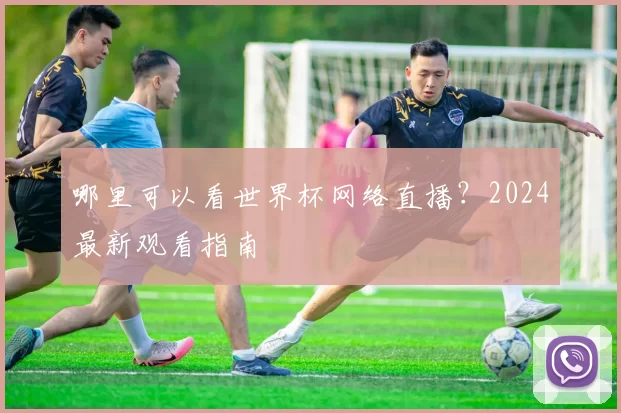 哪里可以看世界杯网络直播?2024最新观看指南